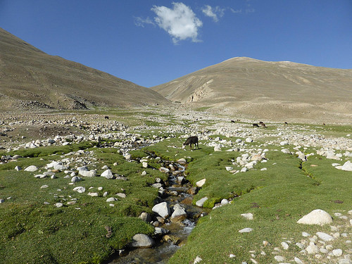 Peter Hahndorf 8-Jul-2014