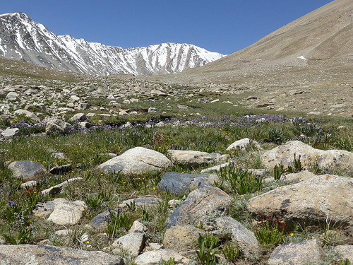 Peter Hahndorf 8-Jul-2014