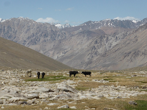 Peter Hahndorf 8-Jul-2014