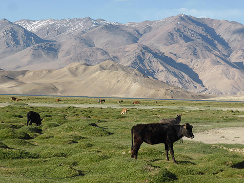 Peter Hahndorf 9-Jul-2014