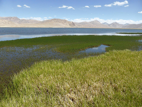 Peter Hahndorf 10-Jul-2014