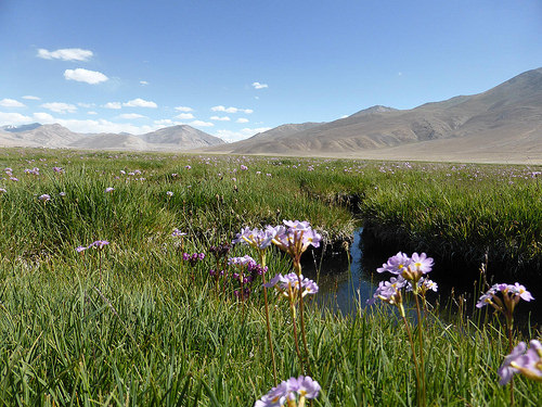 Peter Hahndorf 10-Jul-2014