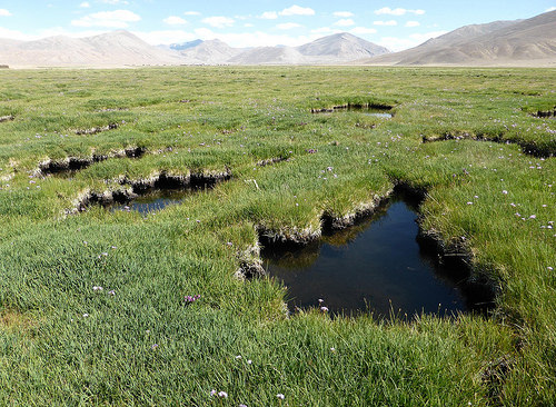 Peter Hahndorf 10-Jul-2014