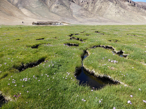 Peter Hahndorf 10-Jul-2014