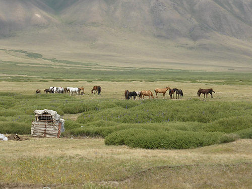 Peter Hahndorf 29-Jul-2014