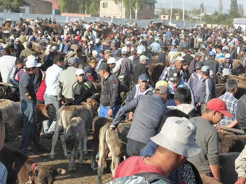 Peter Hahndorf 10-Aug-2014