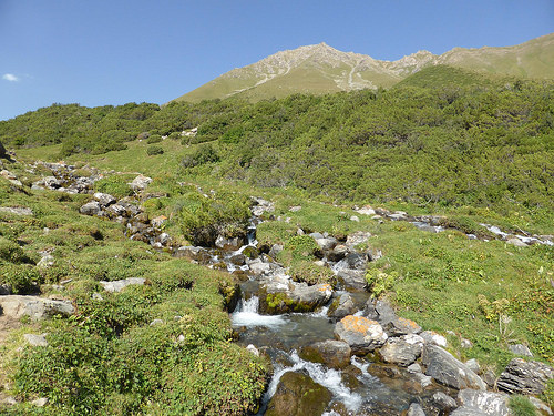 Peter Hahndorf 12-Aug-2014