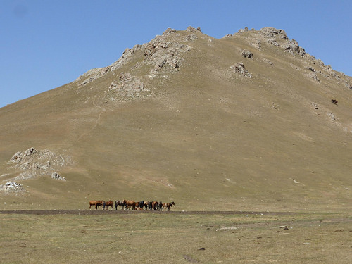Peter Hahndorf 20-Aug-2014