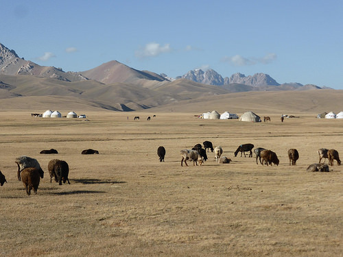 Peter Hahndorf 20-Aug-2014