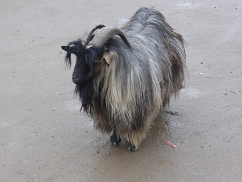 Peter Hahndorf 17-Sep-2014