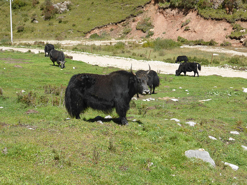 Peter Hahndorf 19-Sep-2014