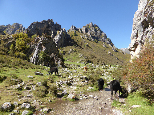 Peter Hahndorf 20-Sep-2014