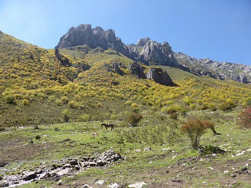 Peter Hahndorf 20-Sep-2014