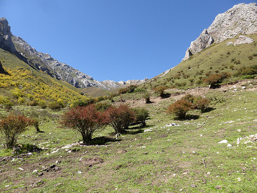 Peter Hahndorf 20-Sep-2014