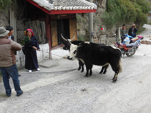 Peter Hahndorf 21-Sep-2014