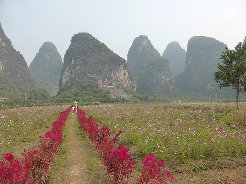 Peter Hahndorf 15-Oct-2014