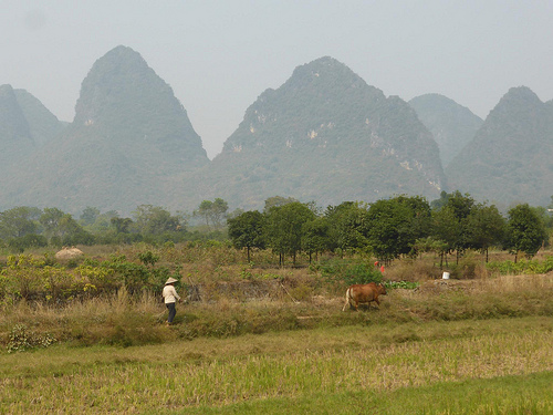 Peter Hahndorf 18-Oct-2014