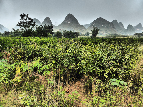 Peter Hahndorf 18-Oct-2014