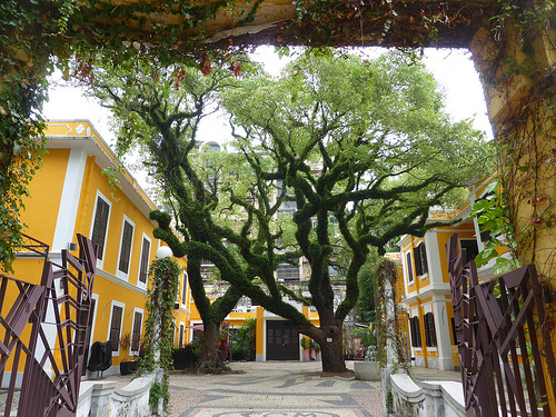 Peter Hahndorf 10-Nov-2014