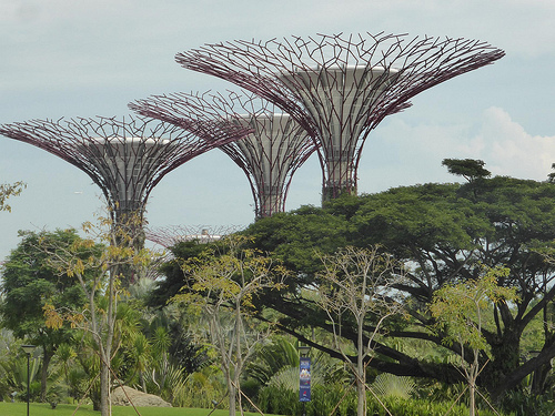 Peter Hahndorf 19-Nov-2014