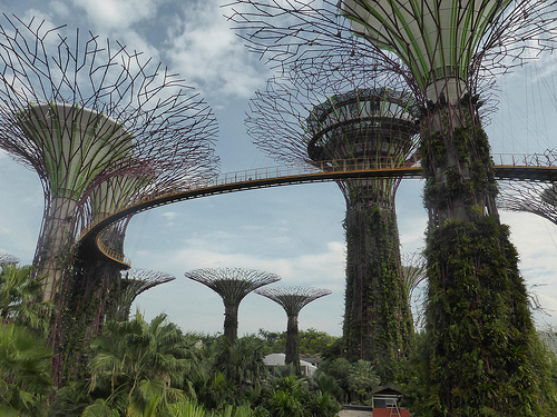 Peter Hahndorf 19-Nov-2014