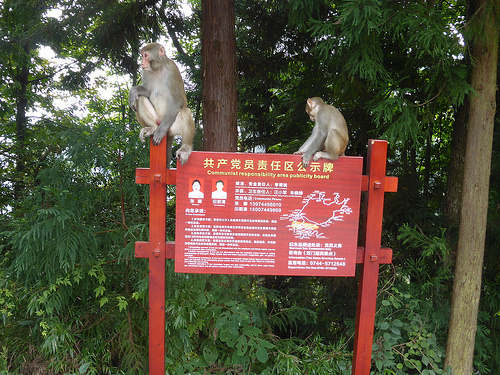 Peter Hahndorf 10-Sep-2015