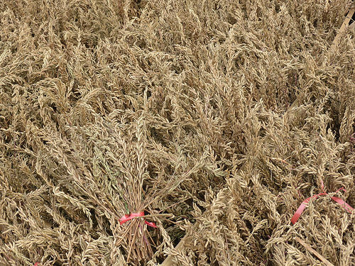 Peter Hahndorf 23-Sep-2015