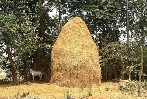 Peter Hahndorf 6-Mar-2016