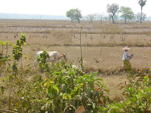 Peter Hahndorf 5-Mar-2016