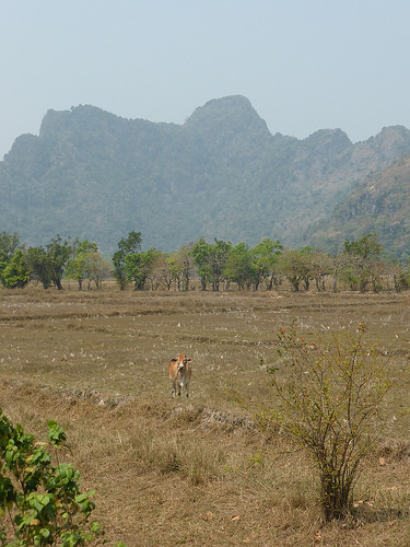 Peter Hahndorf 5-Mar-2016