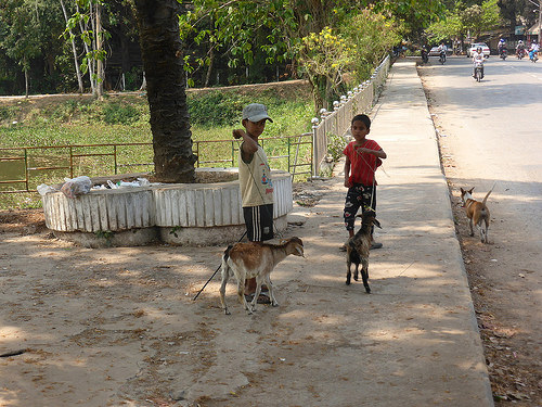 Peter Hahndorf 7-Mar-2016