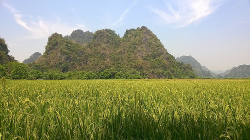 Peter Hahndorf 9-Mar-2016