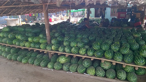 Peter Hahndorf 12-Mar-2016