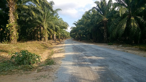 Peter Hahndorf 27-Mar-2016